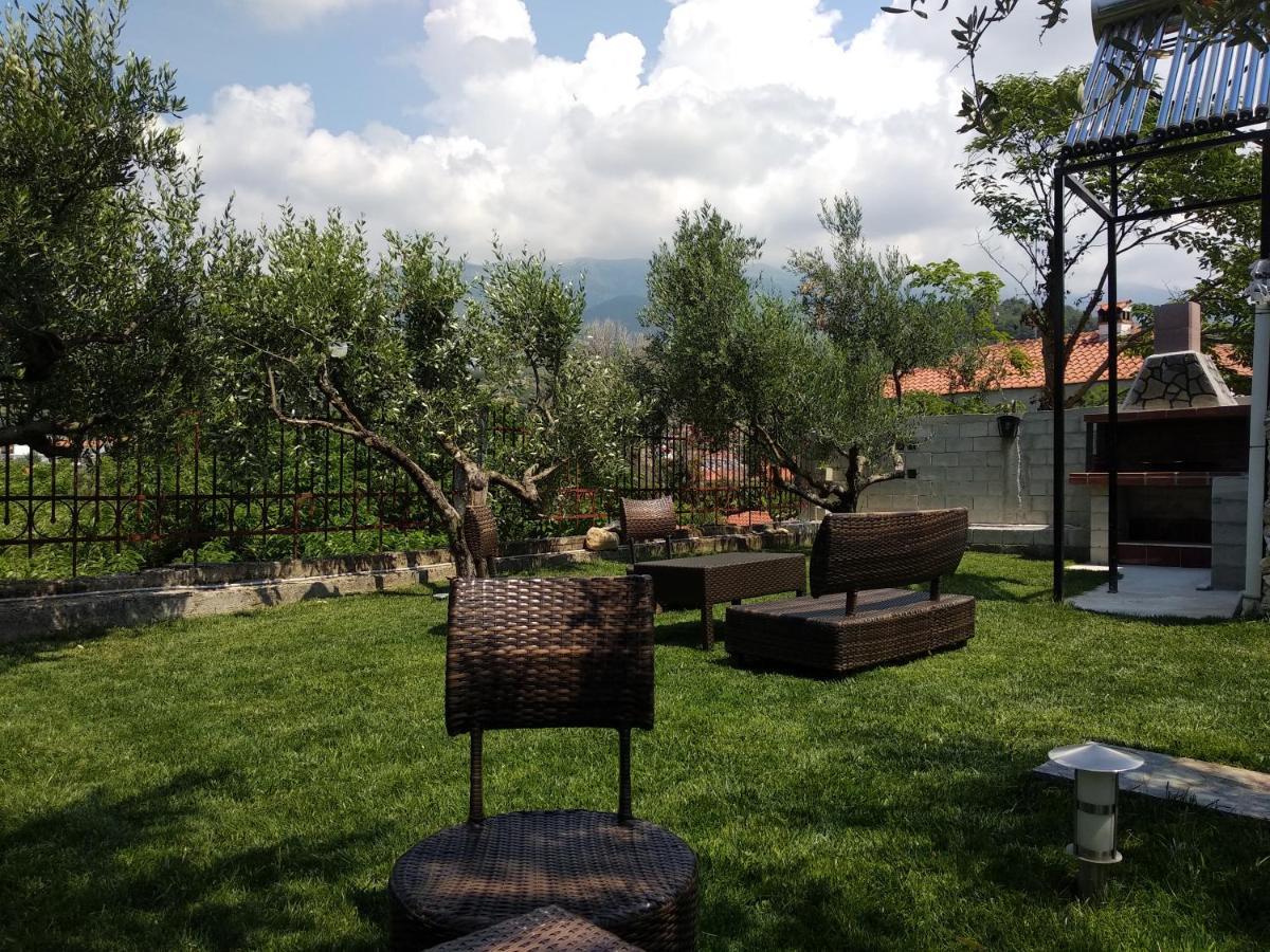 Villa Agnanti Apts And Suites Agio Pnevma エクステリア 写真