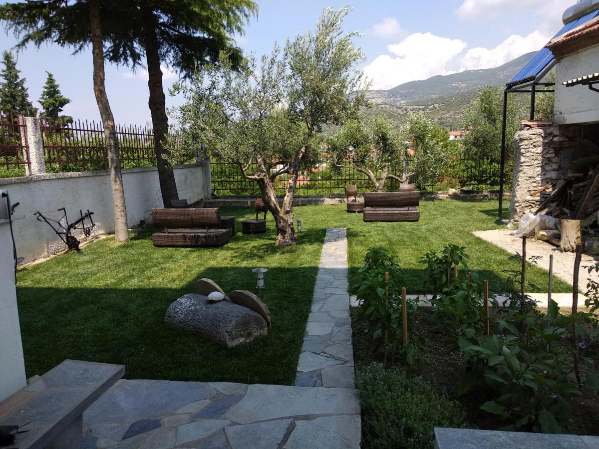 Villa Agnanti Apts And Suites Agio Pnevma エクステリア 写真