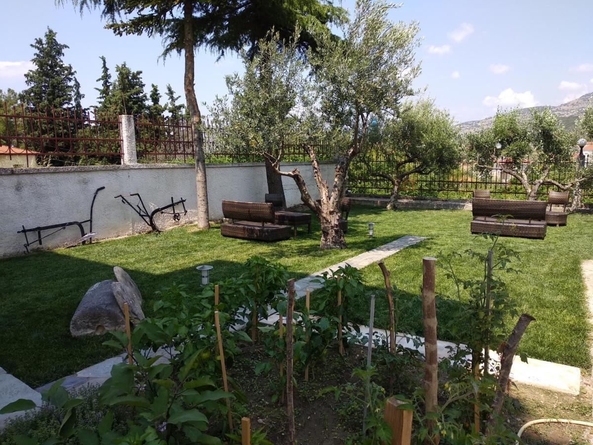 Villa Agnanti Apts And Suites Agio Pnevma エクステリア 写真