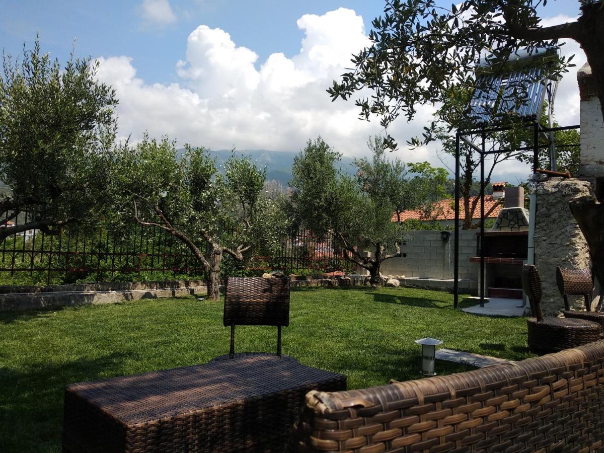 Villa Agnanti Apts And Suites Agio Pnevma エクステリア 写真